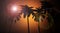 Sunset background, palm trees, Florida