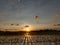 Sunset background ricefields