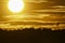 Sunset backlit on a grain wheat or barley field. Amazing sunset, dramatic scenic landscape.