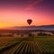 Sunset Balloon Ride Over Vineyard