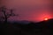 Sunset and Baobab Silhouette in Serra da Chela, Angola