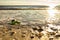 Sunset on the beach of BlÃ¥vand in Denmark. Walking in the evening in great light atmosphere