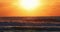 Sunset on the beach of caribbean sea and flying bird. Sea sunrise slow motion 4k video