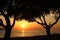 Sunset on the beach with dark trees