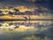 Sunset on the beach with dried tree objects