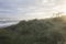 Sunset Beach Dunes in New Zealand