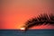 Sunset beach, evening sea, palm trees