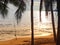 Sunset beach fishing tree coconut sea