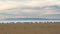 Sunset on the beach and flock of birds. Beautiful tranquil scene of empty sand beach, turquoise colored water