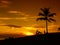 Sunset beach and palm Darwin