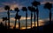 Sunset on beach with palm trees silhouette