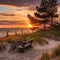 sunset beach , sandy dunes on Baltic beach,sunset on beach ,pine trees,sun reflection on se water