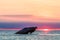 Sunset Beach and the sunken SS Atlantic at sunset in early spring with warm vivid light - Cape May Point NJ