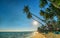 Sunset on the beach with tilted coconut trees,