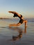 Sunset beach yoga. Anjaneyasana, Low Lunge Pose. Crescent Moon Pose. Lunging back bending asana. Supporting muscle. Flexible spine