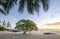 Sunset on beautiful empty tropical beach with deckchair and palm