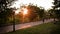 Sunset in a Beautiful Park. People are resting among the green trees