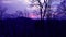 Sunset with beautiful purple colour sky behind the hill and image is taken in forest