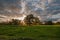 Sunset behind a floodplain meadow with trees in october.