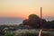 Sunset besides padma river with tree and catkin flowers