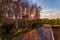 Sunset, birch forest and road