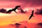 Sunset Birds Flying Painting Illustration