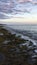 Sunset at Black Reef Covered with Seaweed in Winter in Kapaa on Kauai Island, Hawaii.