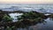 Sunset at Black Reef Covered with Seaweed in Winter in Kapaa on Kauai Island, Hawaii.