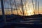 Sunset Through Boat Masts