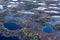 Sunset in the bog, golden marsh, lakes and nature environment. Sundown evening light in spring.