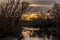 Sunset on the Boise river through the trees and brush