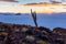 Sunset cactus Salar De Uyuni islands mountains scenic landscape.