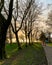 Sunset casting tree shadows in the park