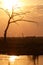 Sunset - Chobe N.P. Botswana, Africa