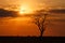 Sunset - Chobe N.P. Botswana, Africa