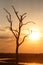 Sunset - Chobe N.P. Botswana, Africa