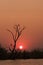 Sunset on the Chobe River