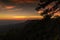 Sunset cliff and pine branches.