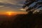 Sunset cliff and pine branches.