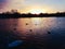 Sunset clouds coastline dusk swan