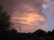 Sunset clouds and trees in silhouette