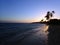 Sunset through Coconut Trees line Kahala Beach
