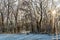 Sunset in a cold white winter day landscape. Road through rural area frosted fields. Bench in forest