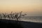 Sunset colors on the beach at Key West.