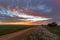 Sunset coloured clouds and flowers