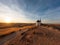 Sunset at Consuegra city iconic vintage windmills