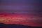 Sunset and cranes Gruidae in Aiguamolls De L`Emporda Nature Reserve, Spain