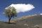 Sunset Crater Volcano in Arizona