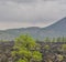 Sunset Crater Volcano Lava Pool, formed from the Bonito`s Lava Flow. Ponderosa Pine Trees growing on the lava rock. In Northern Ar