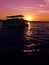 Sunset cruise over Zambezi